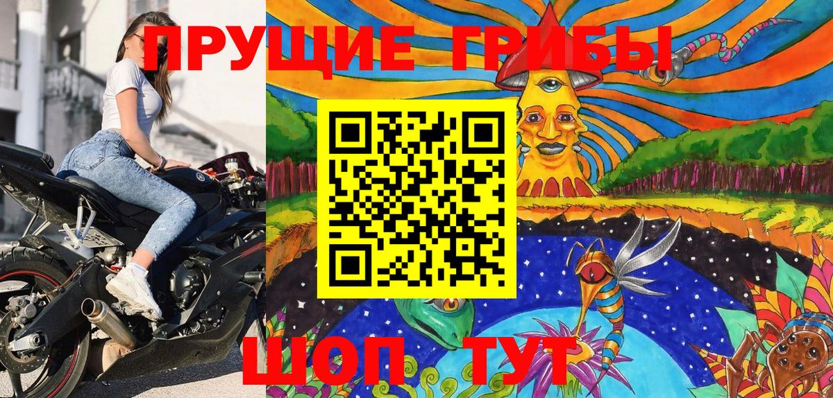 Галлюциногенные грибы GOLDEN TEACHER  Вход с VPN  Аргун  Галлюциногенные грибы Magic Shrooms 