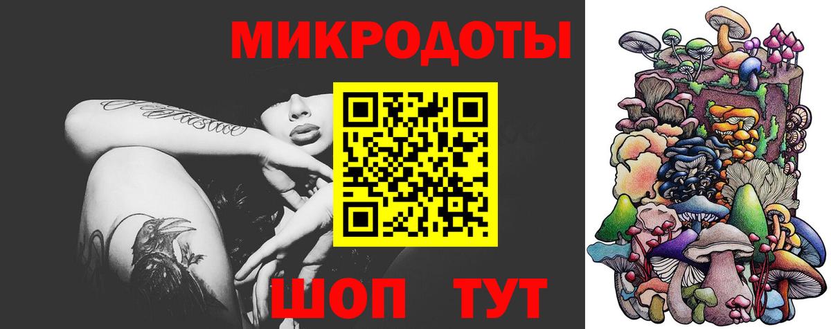 Псилоцибиновые грибы прущие грибы Аргун